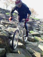 �p�j����ɂ������̂��v���Ԃ�ł���