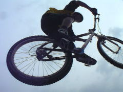 �o�j�[�z�b�v�Ŕ��ł܂�