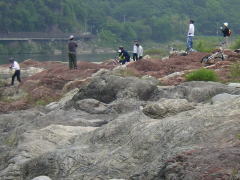 �������i