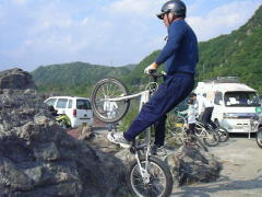 �h���}�C�̔ԓ�����