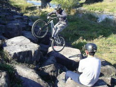 �����Ă݂Ă�̂͂悶����