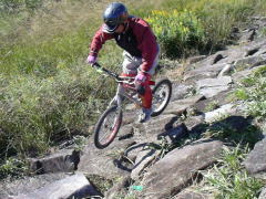 �h���}�C�̔ԓ�����