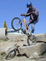 ���������Ă܂��ˁ`