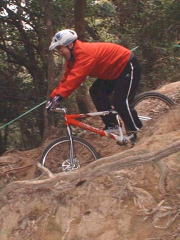 �͂����`����