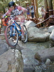 �E���̊₩��̃_�j�p���ł��B�@�������傦�`���I