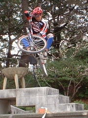 �t���T�X�ł��Ȃ��݂̏����I��