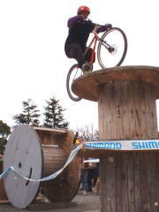 ����������I�@���������ł�����I�I