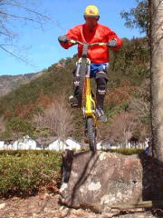 �Ȃ����킳��