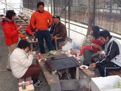 ������㔼�Ɂc