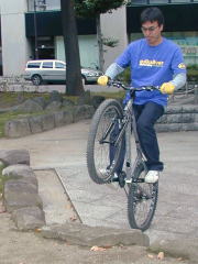 �z�������Ƀn�}��܂�����