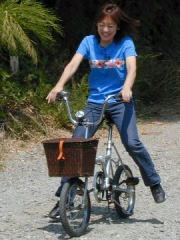 �܂肽���ݎ��]�Ԃœo��