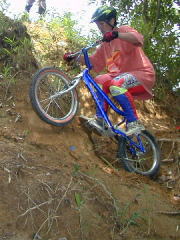 ���`��A�ʐ^�Ō���ƕ|���Ȃ������c