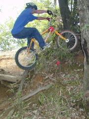 �������j�g�r�̂Q�O�C���`�ɏ���Ă��܂�