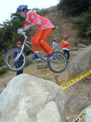 ���V�[�Y���͍����G���[�g���i���ȁH