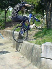 �{���́c�@�؂��Q���ɕ��ׂ�Ɓc