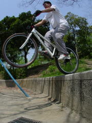 �_�j�G�������肵�Ă��܂�����