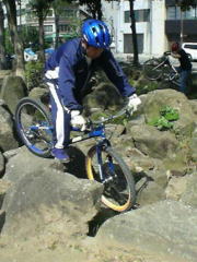 ���̌�c�@�ʔ��f�h�e����Q��