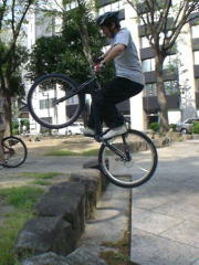 �_�j�G���Œi����o��~��