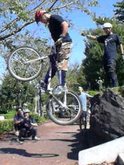 �R�Z�N�ł͗������܂������c