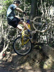 �����l�ł���