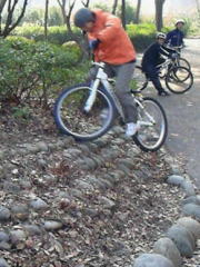 �Q�Z�N�@������ߕ�