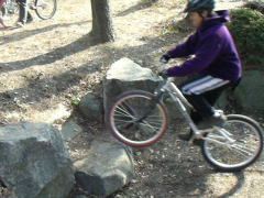 �U�Z�N�@����