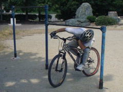 ���Q��ł�