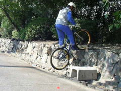 ��P�Z�N�V����������i�����j