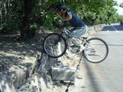 ��P�Z�N�V����������i�����j