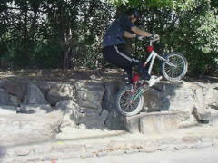 �P�Z�N�V�����o���O�i�����j