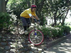 ��Q�Z�N�V�����o���i�����j