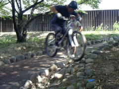 ��Q�Z�N�V�������Ձi�����j