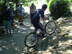 ��S�Z�N�V����������i�����j