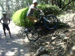 ��S�Z�N�V����������i�����j