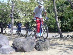 ��U�Z�N�V����������i�����j