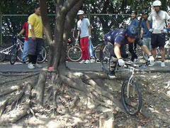 ��T�Z�N�V����������i�����j