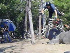 ��U�Z�N�V����������i�����j