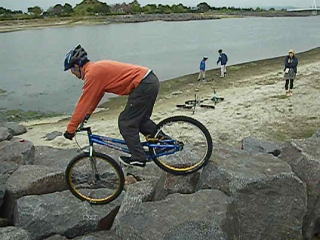 ���܂��Z���J��o���A�`�������W����Ă܂���