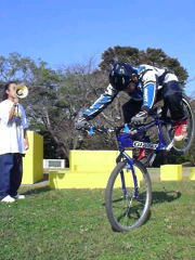 �w��̖ؔ��͉����I��̎��O�ł�