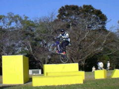 �����ȃp�^�[���������Ă���܂���