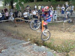 �M�������[�����ς�