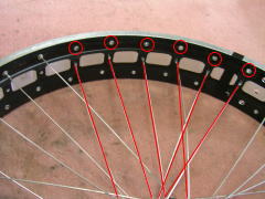 �X�|�[�N�ړ�