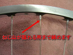 �����g��