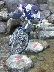 ���̂P����ɂ͑S�g�r�V���G��ɂȂ��Ă��܂��܂���