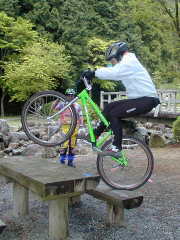 �������́u�m�g�j���F�W���[�W�v�������Ă��܂�