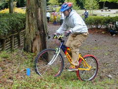 �J�b�`���ǂ��摜���B��Ȃ��ăX�C�}�Z���E�E�E