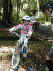 ����������_���ȑ�l�ɍ������āc