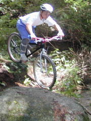 �������t���[���͂f�t�B�b�V���[