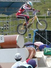 ���q�l���̉e���c�����C�f�B���O�͓����I�ł���