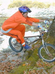 �I�����W�c